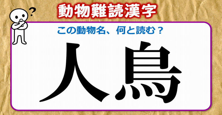 動物難読漢字 難しい読みをする動物名の漢字問題 全30問 ネタファクト