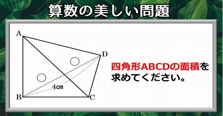 【算数の良問】柔らかい発想で解きたい1組の三角定規の美しい問題！