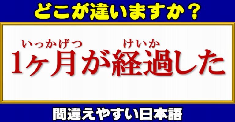 【どこが違いますか？】間違って使われやすい日本語問題！13問 ネタファクト